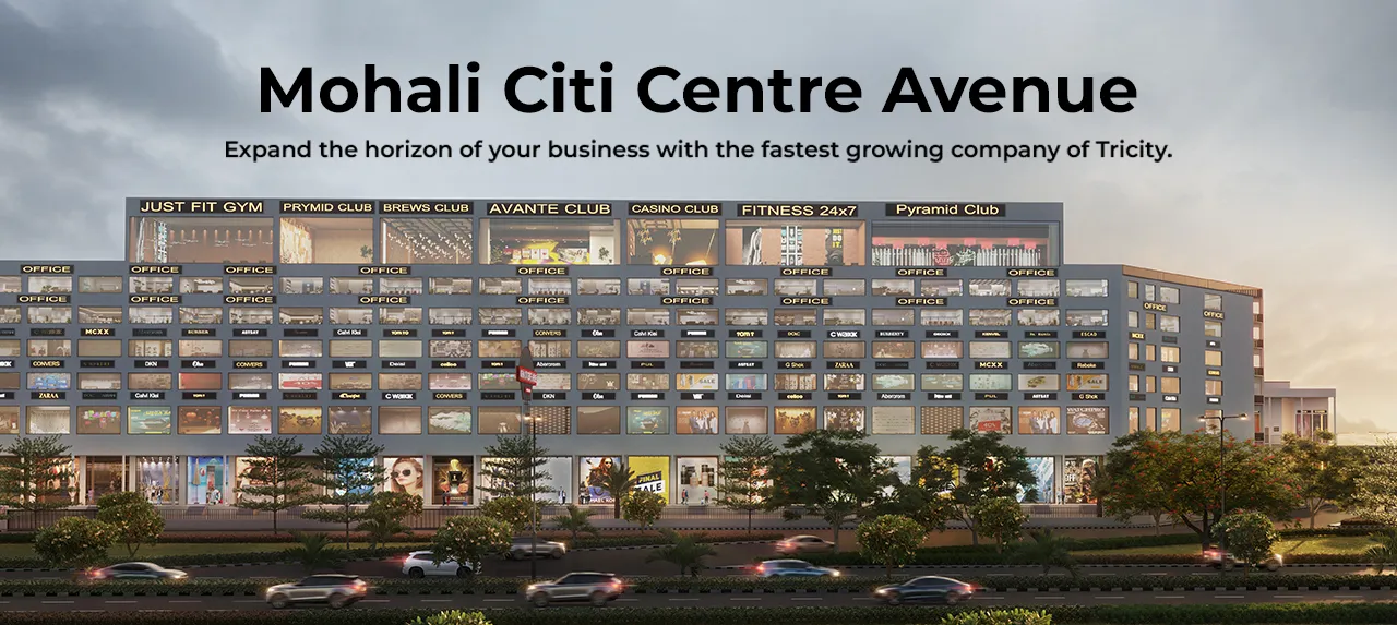 MOHALI CiTi CENTRE 3